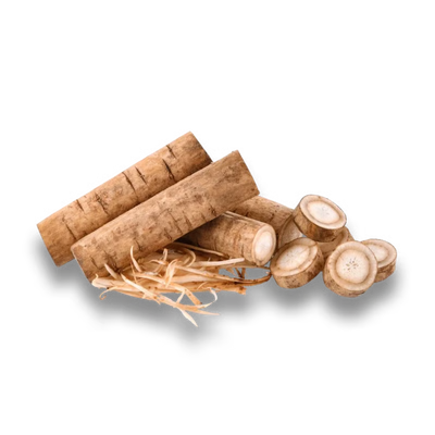 Burdock Root