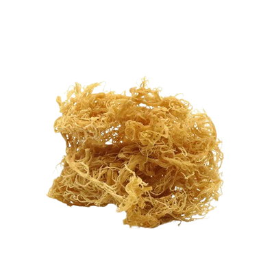 Wild Sea Moss